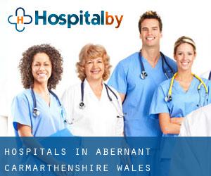 hospitals in Abernant (Carmarthenshire, Wales)