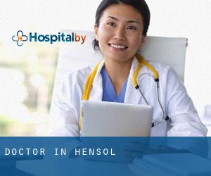 Doctor in Hensol