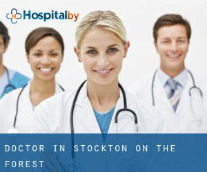 Doctor in Stockton on the Forest