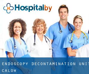 Endoscopy Decontamination Unit (Calow)