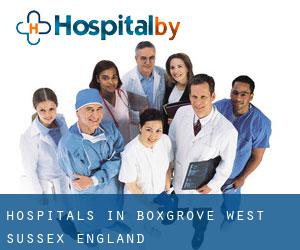 hospitals in Boxgrove (West Sussex, England)