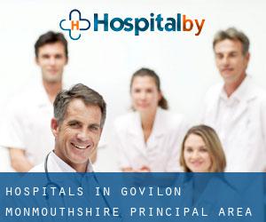 hospitals in Govilon (Monmouthshire principal area, Wales)