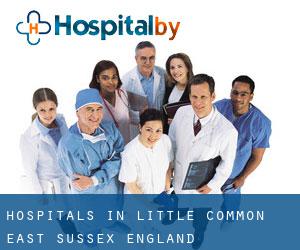 hospitals in Little Common (East Sussex, England)