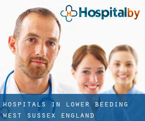 hospitals in Lower Beeding (West Sussex, England)