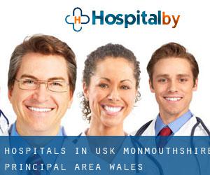 hospitals in Usk (Monmouthshire principal area, Wales)